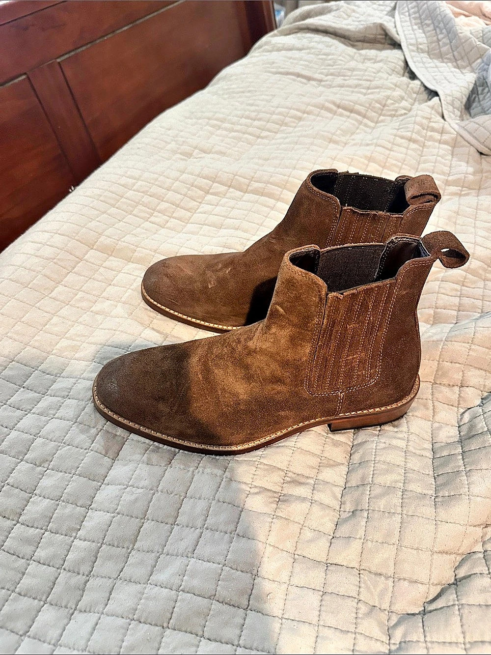 Steve Madden Brown Suede Ankle Boots